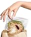 Fred & Friends LUNCH BUGS Zipper Sandwich Bags, 24 Count, Clear (LBUG)