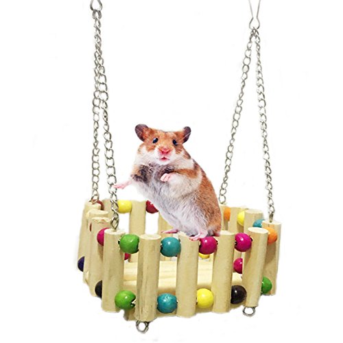 hamster on a swing