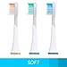 Greater Goods Sonic Electric Toothbrush Replacement Heads, Only Works with gG Toothbrushes (Soft), 3 Count