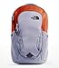 The North Face Vault Backpack