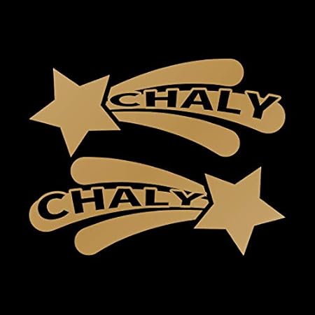 Amazon スター シャリィ カッティング ステッカー ゴールド 金 ステッカー デカール 車 バイク