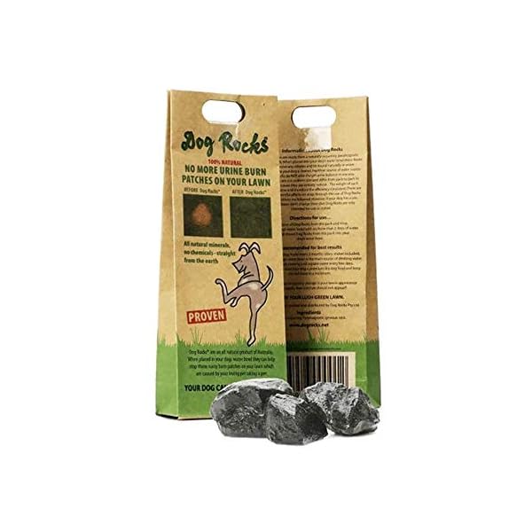 Dog Rocks - Urine Patch Preventer (200g) / Natural Dog Urine Neutraliser for Water Bowls, Grass Repair, Urine Burn Patch…