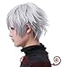 Aplus - Tokyo Ghoul Anime Ken Kaneki Cosplay Wig Silver White Hair + Cap (One Size, Silver.)
