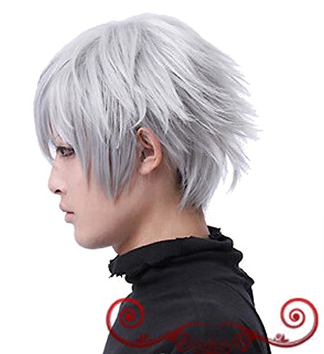 Aplus Tokyo Ghoul Anime Ken Kaneki Cosplay Wig Silver White Hair