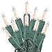Brightown Clear Christmas Mini Lights - 100 Count 25 Feet Green Wire Incandescent Bulb Mini String Lights for Indoor Holiday Xmas Tree Garland Birthday Wedding Party Festival Decoration