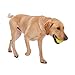 WEST PAW Zogoflex Jive Ball Dog Chew Toy – Bouncing Toys for Dogs, Fetch, Catch, Chewing, Play – Floatable, Recyclable Balls – Latex-Free, Non-Toxic, Dishwasher Safe Dog Toy, Small 2.5