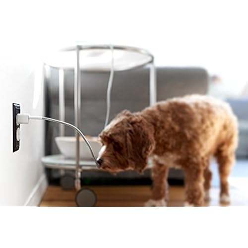 Fuse Chicken Titan Lightning Cable 3 Ft (MFI Certified) Cell Phones & Accessories, Accessories, Cables