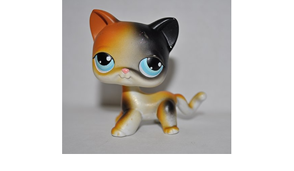 lps calico