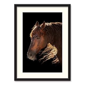 Black Paper Framed Canvas Wall Art for Living Room, Bedroom Horse Theme Canvas Prints for Home Decoration Ready to Hanging - 23x31 inches