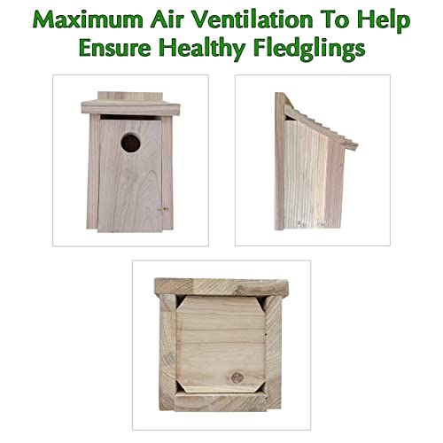 Wooden Bird House for Outside - Bluebird Birdhouse for Outdoors for