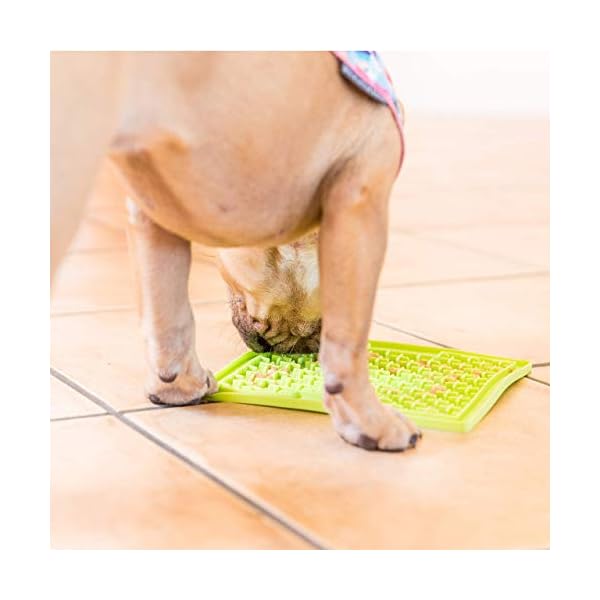 LICKIMAT-Buddy-Treat-Mat-Assorted-colors LickiMat Classic Buddy, Dog Slow Feeder for Boredom and Anxiety Reduction; Perfect for Food, Treats, Yogurt, or Peanut…