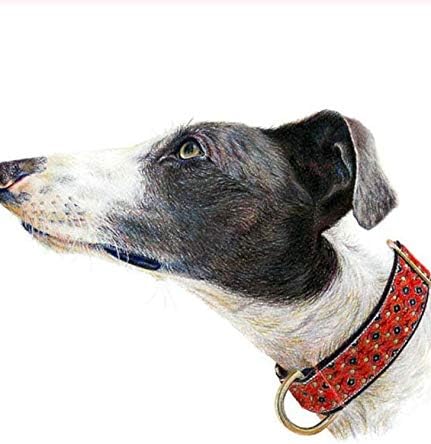 Amazon クロススティッチ 犬のクリスタルラインストーン刺繡写真家の壁の装飾のためのアートクラフトギフト 刺しゅうキット 通販