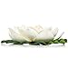 Simply Essentials Best Floating Flowers Set of 6 for Weddings - Pools - Holidays - Aquarium - Wedding Decorations - Hot Tubs - Large White - 8 1/2 Inch Each
