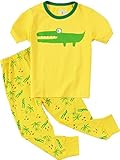 PHOEBE CAT Big Boys Pajamas 100% Cotton 2 Piece Toddler Clothes Set Sleepwear For Kids