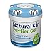 Outback Blue Natural Air Purifier Gel. Odor Eliminator And Natural Air Freshener Neutralizes Smell. Ideal For The Home, Pets, Car, Boat, RV 2.6 ounce/75gm