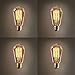 Set of 4 Bushwick ST18 Vintage Filament 40W (E26) Bulbs