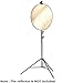 Neewer Photo Studio Pro 9 feet/260 centimetres Aluminum Alloy Light Stand and Heavy Duty Metal Clamp Holder for Reflectors for Photo Video Portrait Photography