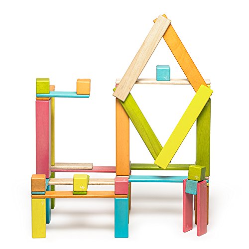 42 Piece Tegu Magnetic Wooden Block Expansion Pack Large, Tints
