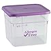 Cambro Food Storage Container - Classic Series Square - 22 QT (Quart) - Commercial Grade for Food Prep (Clear)
