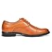 Bruno Marc Men's Oxford Dress Shoes Lace up Formal Classic Shoes Brown Size 10 M US Halsted-02