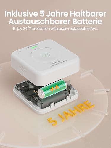 Heiman Smart Carbon Monoxide Detector Matter Over Thread (Hub Required) - CO Detector for SmartThings & Home Assistant, EN 50291, Interchangeable Battery, 10 Year Sensor, 85 dB, HS-725ES-M