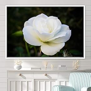 signwin Framed Canvas Wall Art Flora Snapshot Closeup...
