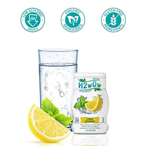 H2wOw Water Enhancer DropsLemon Spearmint Flavored Water 4 pack Pricepulse