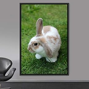 signwin Framed Canvas Wall Art Bunny Animals Bedroom...