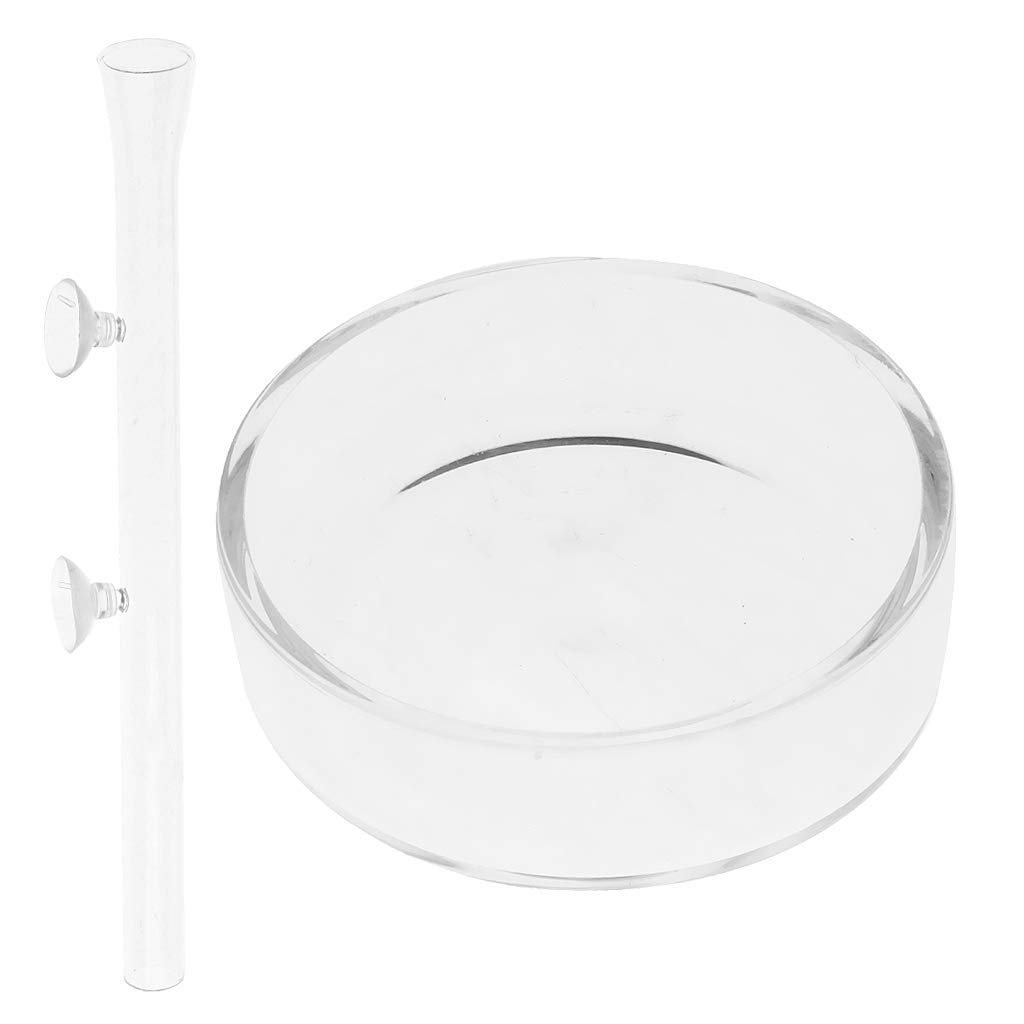 Glass Shrimp Feeding Food Bowl Tray + 30cm Feeder Tube Aquarium Fish Tank