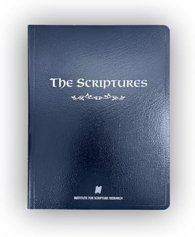 Diyin God Bizaad: the Holy Bible in Navajo: American Bible Society