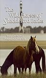 Wild Horses of Shackleford Banks by 