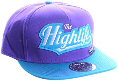 Official Highlife Snapback in Purple/Teal