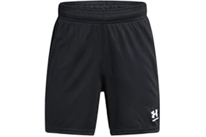 Under Armour Boys Challenger Shorts