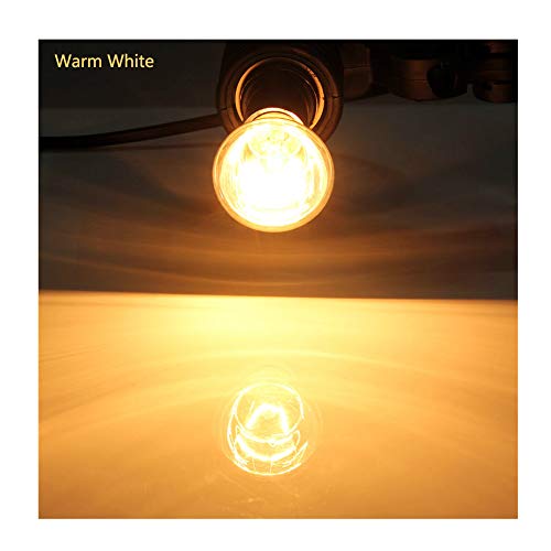 Lava Lamp Bulb 40 Watt, 6 Pack R39 R12 Reflector Type Bulbs E17