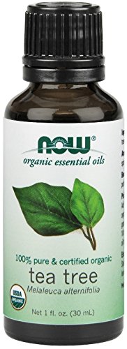 Organic tea tree essential oil , 1 fluid ounce (pack of…