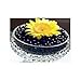 JellyBeadZ Brand - Huge 1 Pound Water Gel - 16 Ounce. Heat Sealed Bag- Midnight Black