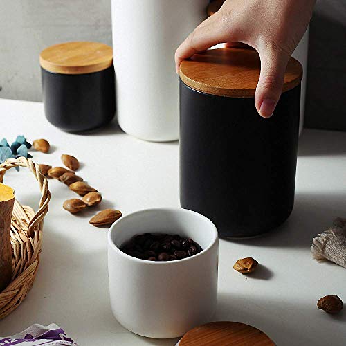 5 Ceramic+Dispenser+Container+Seasoning+Condiment