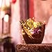 Tiny Creative Plants Pot LETOOR Flower Plants Succulent DIY Container Decorated with Mini Hanging Fairy Garden and Sweet House for Holiday Decoration and Gift