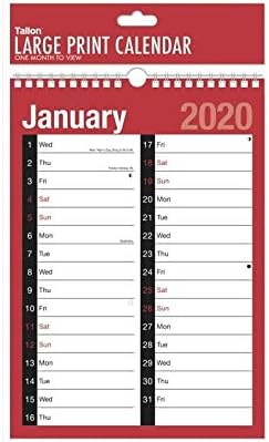 2020 A4 Extra Ancho 2 Columna Vista Mensual Con Espiral Pared
