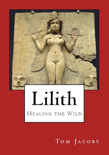 Download Lilith: Healing the Wild (English Edition) PDF