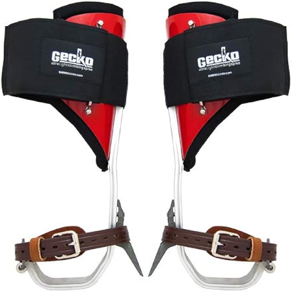 Gecko Tree Climbers Sports Outdoors Amazon Com