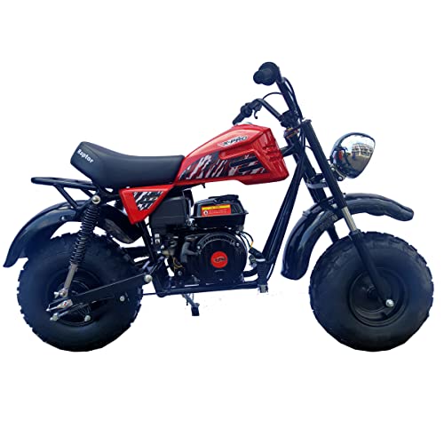 XPRO Supersized 200CC Youth Mini Bike Gas Powered Mini Trail Bike with