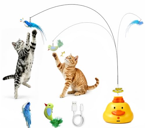 Interactive Cat Toy for Indoor Cats 360 Automatic