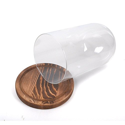 Reelva Decorative Clear Glass Cloche Bell Jar Display Case (D11cmH20cm)