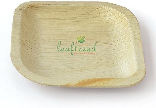 Leaftrend:  Eco-friendly Disposable Palm Leaf Plates, Wedding and Party Plates, 6 Inch Square Leaf Plate - 10 Pcs