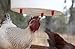 25 PCS Automatic Chicken Water Nipple Drinker Feeders Poultry Hen Screw