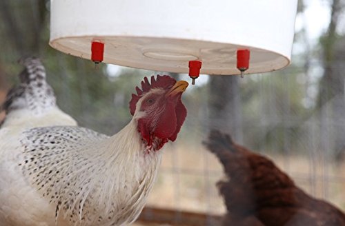 Chicken Water Feeder Poultry Nipple Drinker Duck Hen Screw In