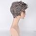 SaiDeng Women Gradient Stylish Harajuku Style Oblique Bang Cosplay Short Hair Wig Granny Gray 45cm