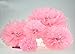 HEARTFEEL 5pcs Tissue Paper Pom-poms Flower Ball Wedding Party Outdoor Decoration Tissue Balls/Baby Shower/Birthday Party/Paper Ball Decor (12 inch, Burgundy)