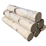 White Birch Log Set for Fireplace